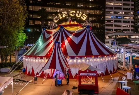 The Greatest Murder on Earth, A circus murder mystery