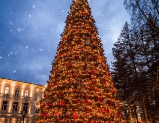 Community Tree Lighting Ceremony